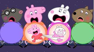 Baby Peppa and Baby Suzy Funny Stories ! | Peppa Pig Funny Animation