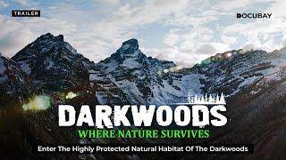 A Secret Forest Abundant in Canada with Wildlife! | Darkwoods Where Nature Survives