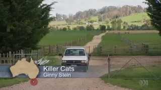 Landline 021114 Killer Cats
