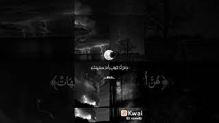 القران الكريم نور الحياه
