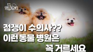 좋은 동물병원 선택의 기준, 우리 강아지를 위해 딱! 정해드릴게요!
