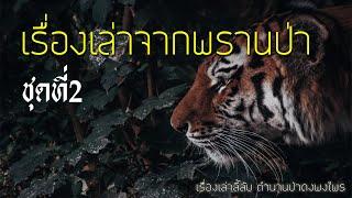 รวมเรื่องเล่าจากพรานป่า ชุดที่ 2 (ฟังยาวๆ 5 ชั่วโมง)