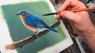 How to Paint a Bird | Acrylic Painting