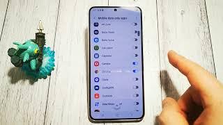 SAMSUNG GALAXY S22: How to turn off apps using mobile data only function | Quick Guide