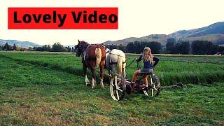 Mowing Hay with Horses [Lovely Video]