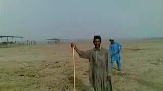 BUZDAR | BALOCHI NEW DASTANA FROM SODI ARBE AND U AE