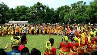 Kushan Dance|kushan nritya|(কুষান নৃত্য) performed by 100 Koch Rajbongshi girls|GOALINI DANCE