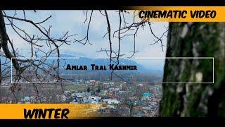 Cinematic Video || Amlar Tral Kashmir in Winter ||