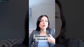 Как реагирует социофоб #психология #личность #социофоб
