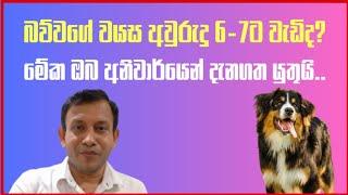 බව්වගෙ වයස 6-7ක් නම්, මේ දෙය අනිවාර්යෙන් දැනගත යුතුයි. #dranuradissanayake