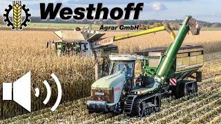 Corn Harvest 2021/ Claas Lexion 770 C66 & Claas Challenger 85E + Haulmaster GrainCart-Westhoff Agrar