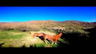 Exploring Arizona- Spur Cross Ranch