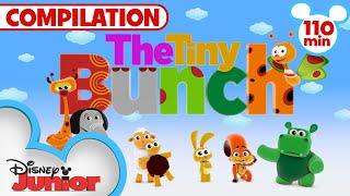 The GIANT Tiny Bunch Compilation | Kids Songs & Nursery Rhymes | 110 Minutes | @disneyjunior