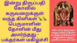 Parrots in Tirupati Temple Sanctum/Garbagriha| March 2025- Important Festivals at Tirupati/Tirumala