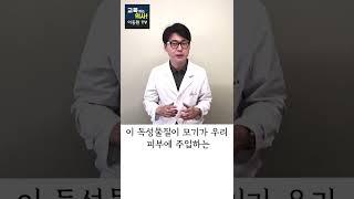 [모기에 물렸을 때 가려움증 30초 만에 해결] #shorts