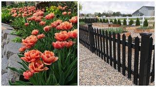 Spring Blooms & Vegetable Garden Tour! // Garden Answer