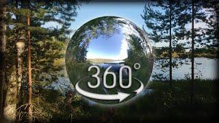 Природа Карельского перешейка в формате 360° (лето)