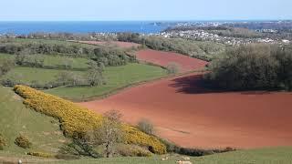 Looking over Paignton from the Public Footpath leading to Beacon Hill, Paignton