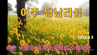 여주 당남리 섬 - 이른 아침에 꽃밭 둘러보기