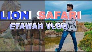 Lion Safari Etawah | Sumit Rajput