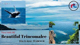 JOURNEY TO MOST BEAUTIFUL TRICOMALEE NATURAL HARBOR.