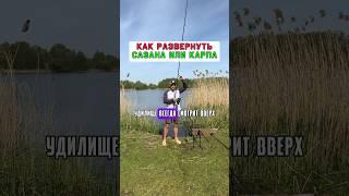 Проверенный способ как развернуть карпа или сазана #карпфишинг