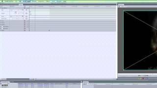 Rotating the Audio & Video of a Movie on a Computer : Basic Computer Operations