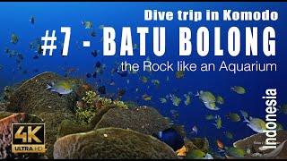 Komodo #7 : Dive on « Batu Bolong » the Rock like an Aquarium - 4k (top dive site) - Showreel