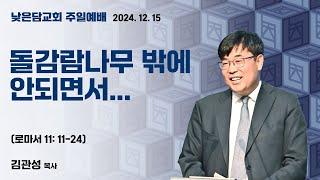 김관성 목사 낮은담교회 주일예배 2024. 12. 15  "돌감람나무 밖에 안되면서...” 로마서 11: 11-24