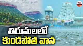 తిరుమలలో కుండపోత వాన | Heavy Rain In Tirumala Tirupati | ABN Digital