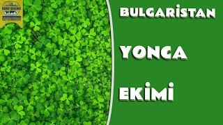 Yonca Üretimini Yerinde İnceledik - Bulgaristan #Yonca