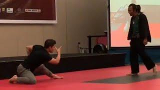 Iko Uwais Martial Arts Demonstration & Training