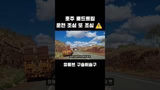 호주 로드트립은 캥거루만 조심해야 할 것이 아니야. #roadtrip