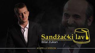 Bilal Zukan - SANDŽAČKI LAV (Vocals only) | Official video 2022