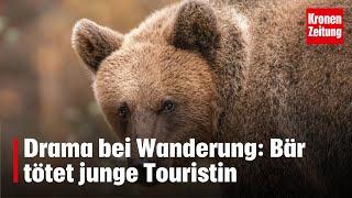 Drama bei Wanderung: Bär tötet junge Touristin – Tier erschossen!