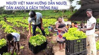 Mang rau xa lách đi chợ đầu mối bán và nhận ngay cái kết || Tony Phong cuộc sống Châu Phi