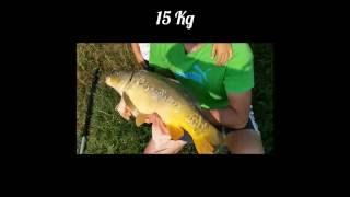 Moldova Carp Fishing #1#