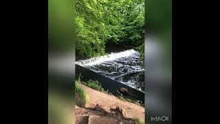 Pollok Country Park Waterfall, Glasgow