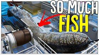 80,000 KG of Fish in 1 Net! - Is A $20,000,000 Fishing Trawler Worth It? - Fishing North Atlantic