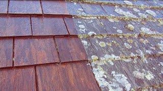 HOW TO: Wash a Cedar Roof with Cedar Wash by WashSafe