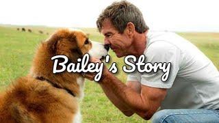 Bailey's Story || Someone You Loved || [A Dog's Journey {Music Video}