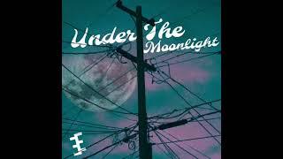 Erik Echo - Under The Moonlight (Audio)