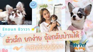 EP.7 - รักชนก ชิวาวา : เป็นไอ่ต้าวตัวจิ๋วในใจใครได้บ้างฮะ ?