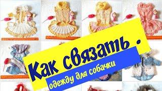 Как связать одежду для собачки.