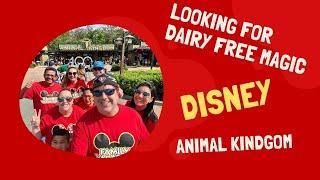 Unforgettable Adventure: First Time Exploring Animal Kingdom!