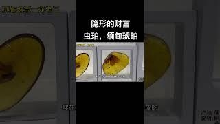 收藏珍品，虫珀，各种珍贵的虫体，亿万年前的宝贝，你都认识吗？#虫珀 #琥珀蜜蜡 #琥珀 #鉴定 #珠宝翡翠