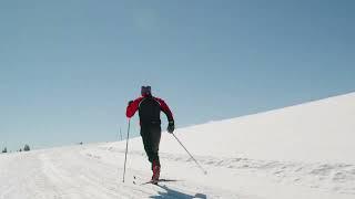 Classic Cross Country Ski Flex