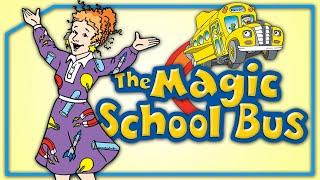 WAIT... Remember The Magic School Bus?