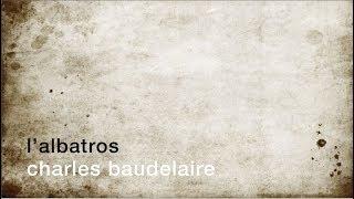 La minute de poésie :  L'albatros [Charles Baudelaire]