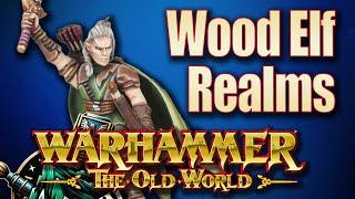 Wood Elf Realms One Year After The Release of Warhammer The Old World